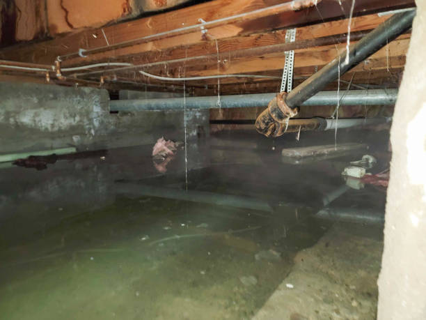 Best Water damage cleanup near me  in Valley Springs, CA