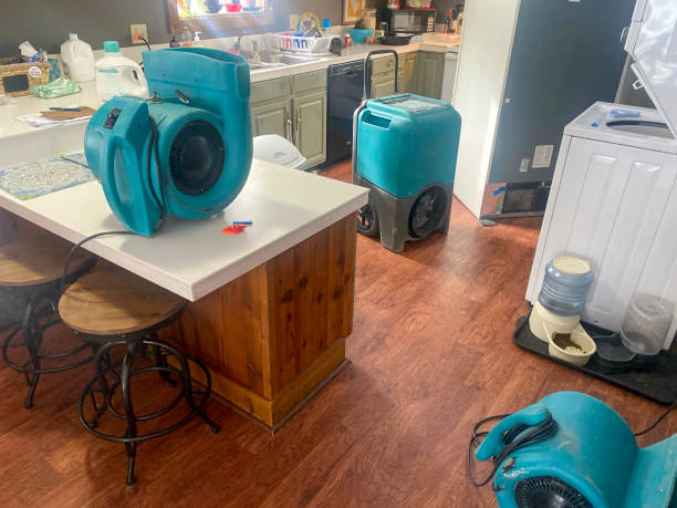 Best Mold removal after water damage  in Valley Springs, CA