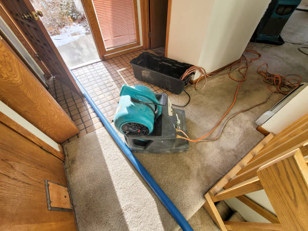 Best Sewage cleanup and water damage restoration  in Valley Springs, CA