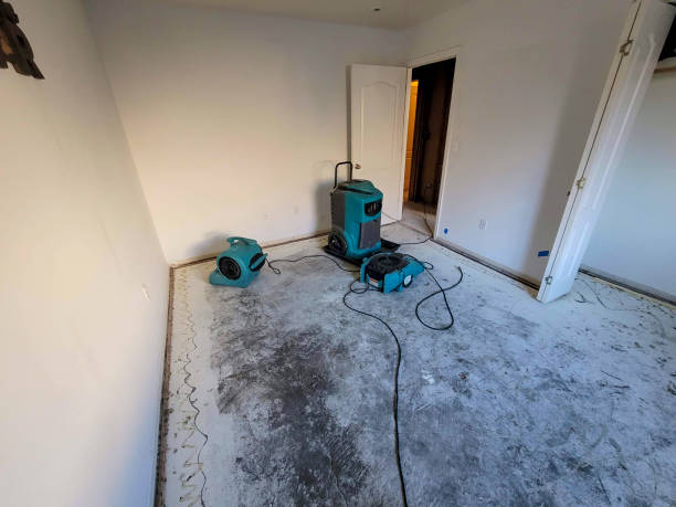 Best Water damage restoration experts  in Valley Springs, CA