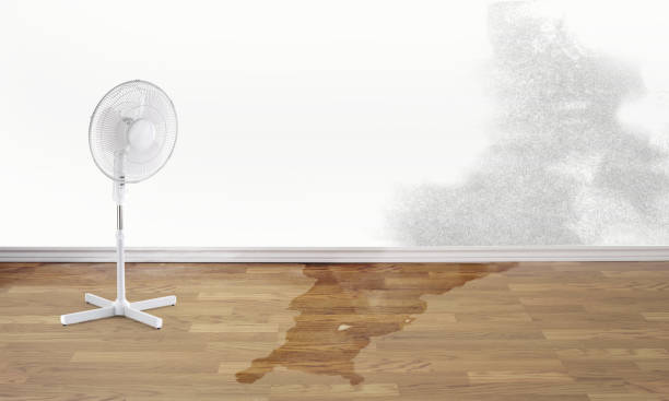 Best Water damage restoration near me  in Valley Springs, CA