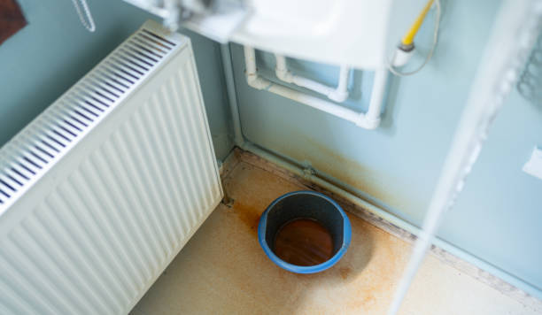 Best Flood damage cleanup  in Valley Springs, CA