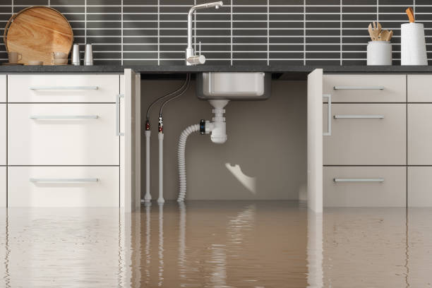 Best Commercial water damage restoration  in Valley Springs, CA